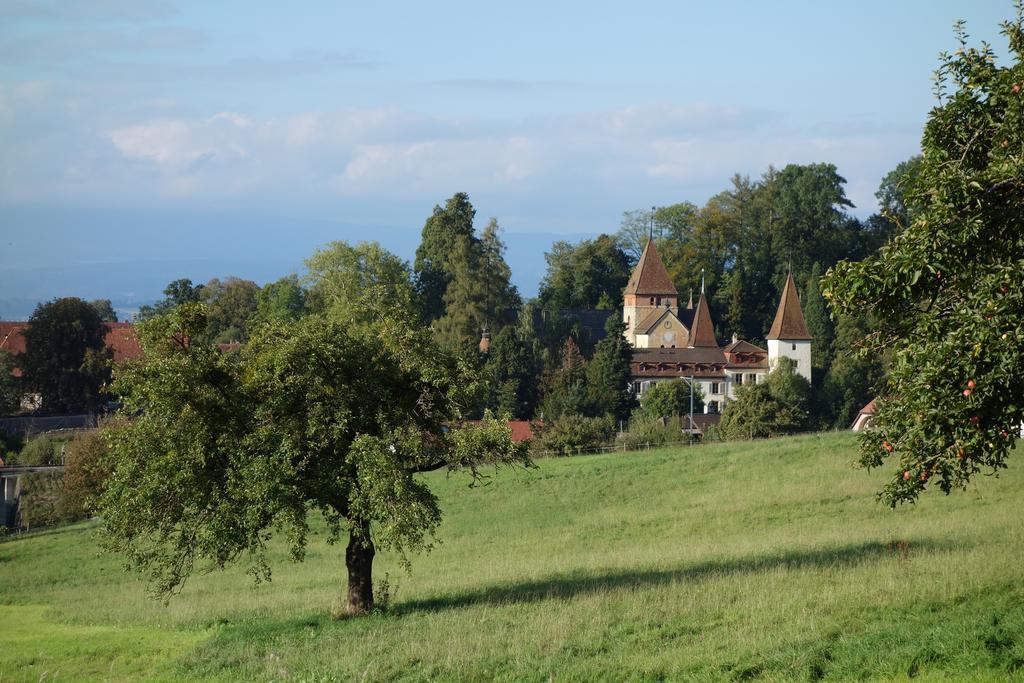 Schloss Muenchenwiler Murten Kültér fotó